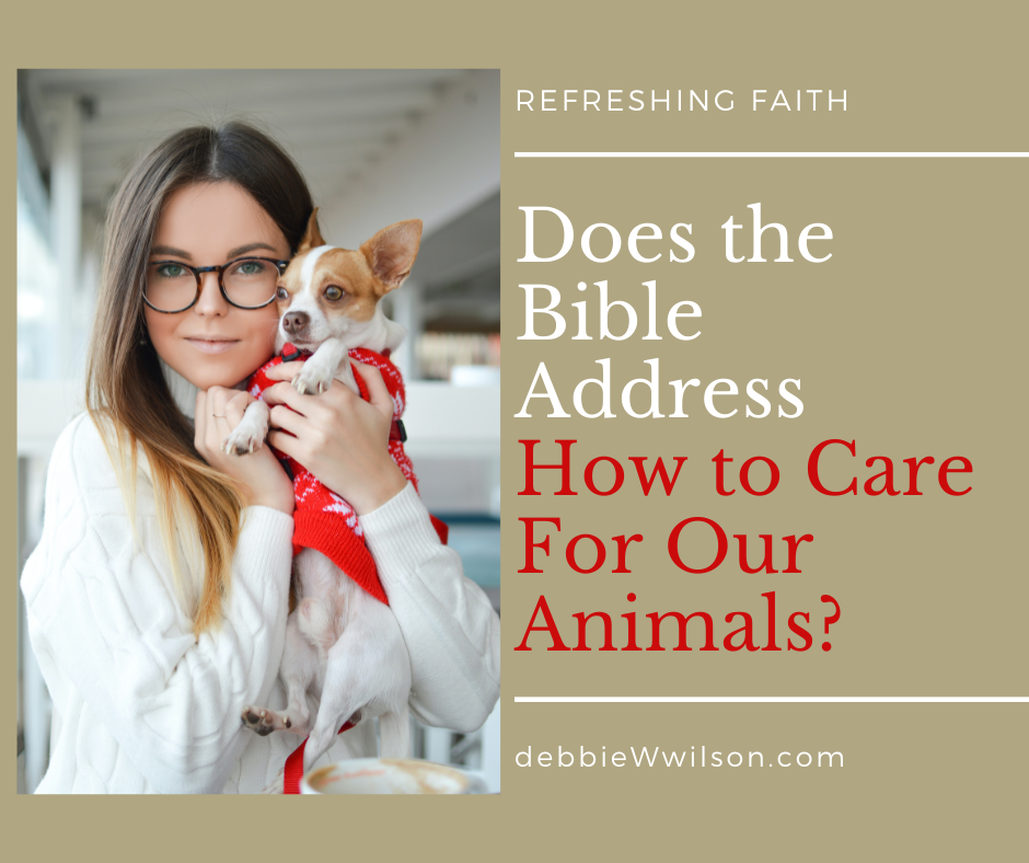 what does it say about dogs in the bible