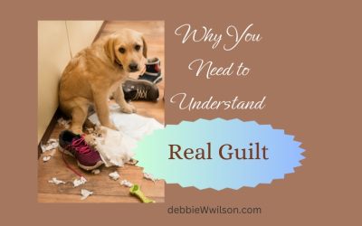 Why You Need to Understand Real Guilt