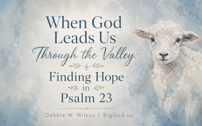When God Leads Us Through the Valley: Finding Hope in Psalm 23